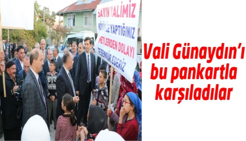 Vali Günaydın