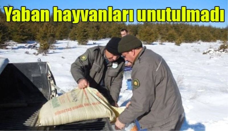 Yaban hayvanları unutulmadı