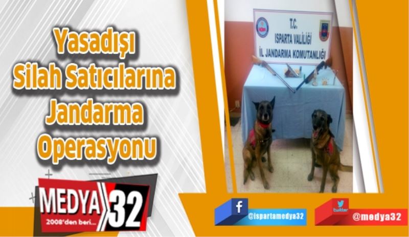 Yasadışı Silah Satıcılarına Jandarma Operasyonu