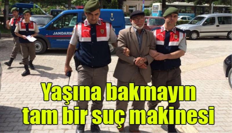 Yaşına bakmayın tam bir suç makinesi 