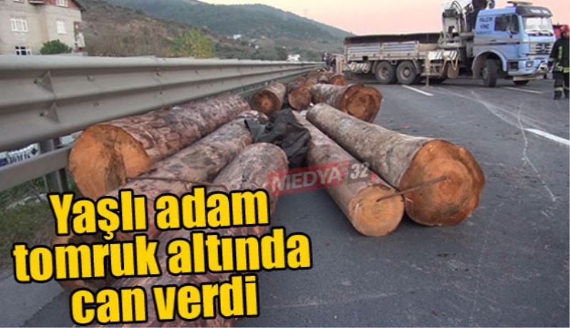 Yaşlı adam tomruk altında can verdi 