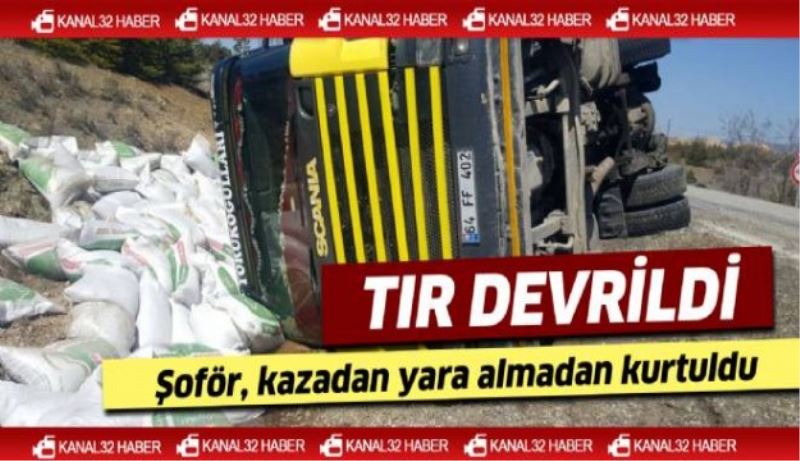 Yem yüklü tır devrildi