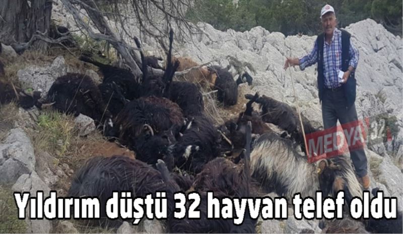 Yıldırım düştü, 32 hayvan telef oldu