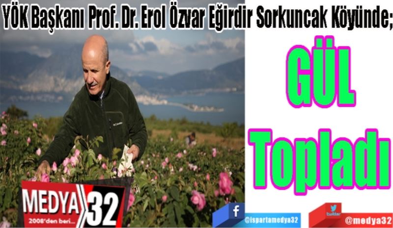 YÖK Başkanı Prof. Dr. Erol Özvar Eğirdir Sorkuncak Köyünde; 
Gül
Topladı
