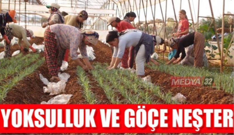 Yoksulluk ve Göçe Neşter